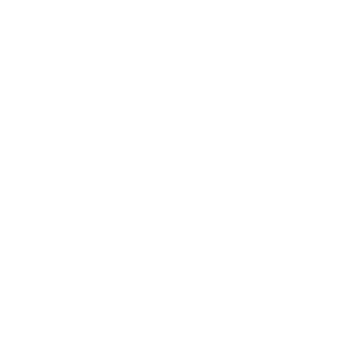 Dash
